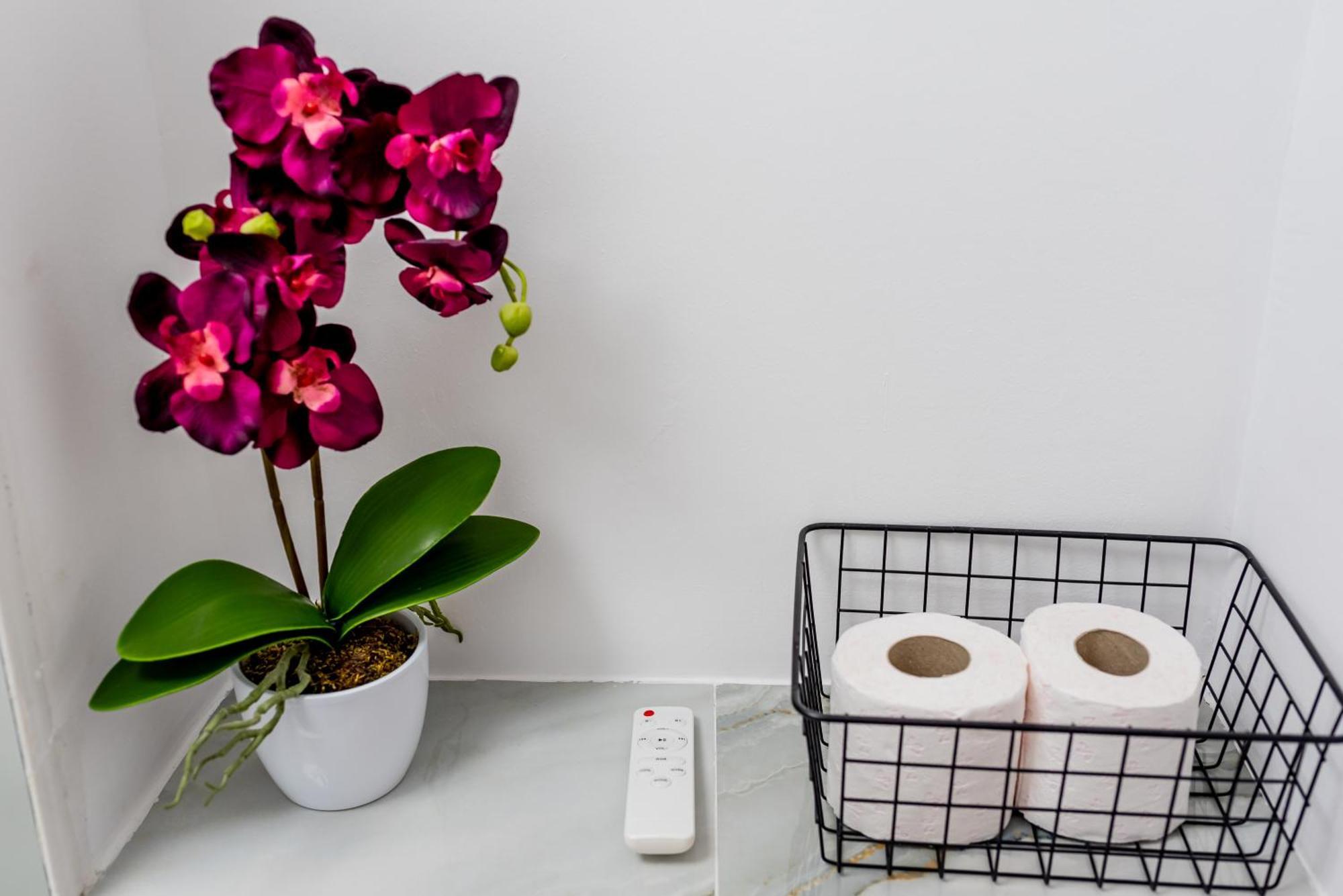 Apartment Lady-s Cluj-Napoca